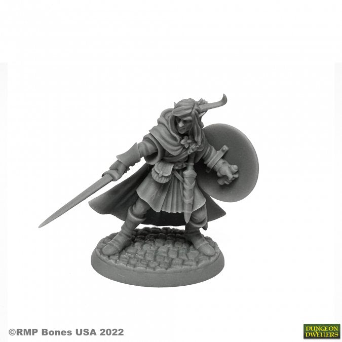 Reaper 07026: Mellonir Windrunner, Elf Warrior Dungeon Dwellers