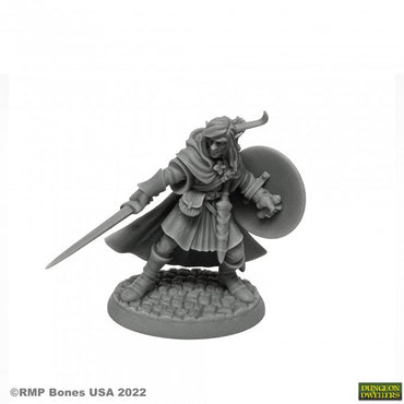 Reaper 07026: Mellonir Windrunner, Elf Warrior Dungeon Dwellers