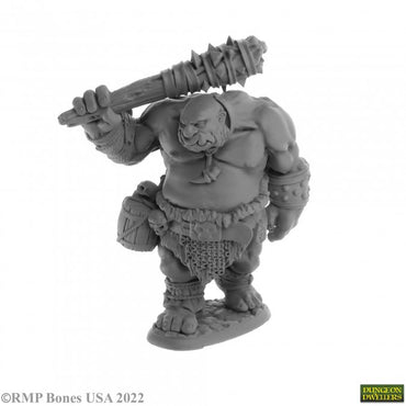 Reaper 07063: Ogre Guard Dungeon Dwellers