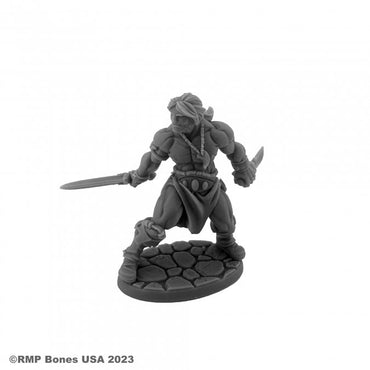 Reaper 07116: Hyborian Hero Dungeon Dwellers