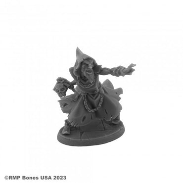 Reaper 07118: Hyborian Wizard Dungeon Dwellers
