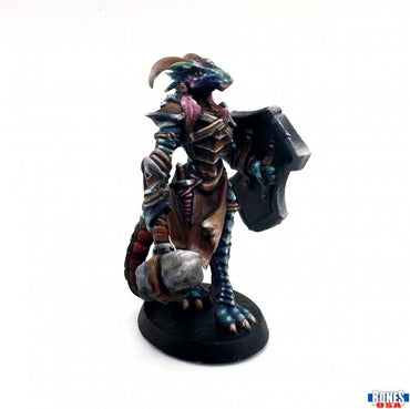 Reaper 30147: Tarmiczi, Female Dragonblood Paladin Bones USA Reaper Legends