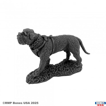 Reaper 30203: Garr, War Dog Bones USA Reaper Legends