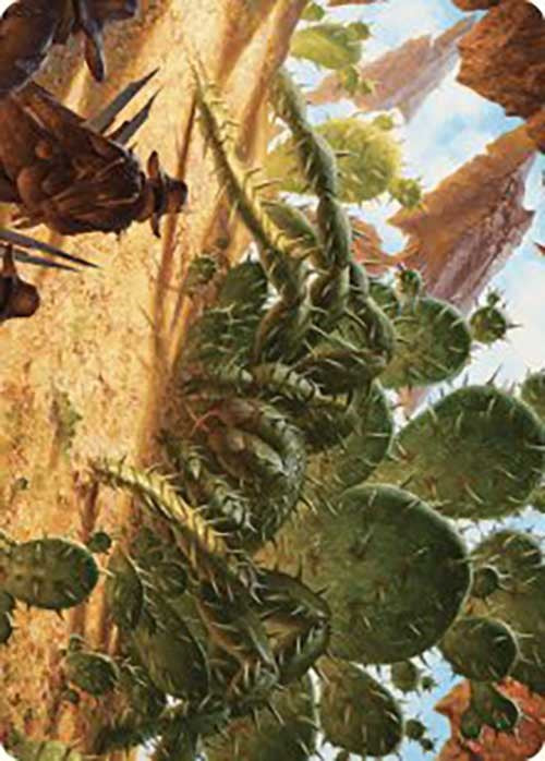 Magic | Cactarantula Art Card [Outlaws of Thunder Junction Art Series] | The Nerd Merchant