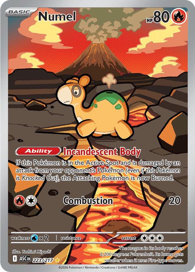 Pokemon | Numel (223/217) [Mega Evolution: Ascended Heroes]| The Nerd Merchant