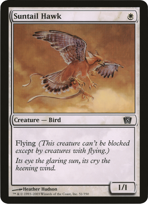 Magic | Suntail Hawk (Oversized) [Eighth Edition Box Topper] | The Nerd Merchant