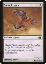 Magic | Suntail Hawk (Oversized) [Eighth Edition Box Topper] | The Nerd Merchant
