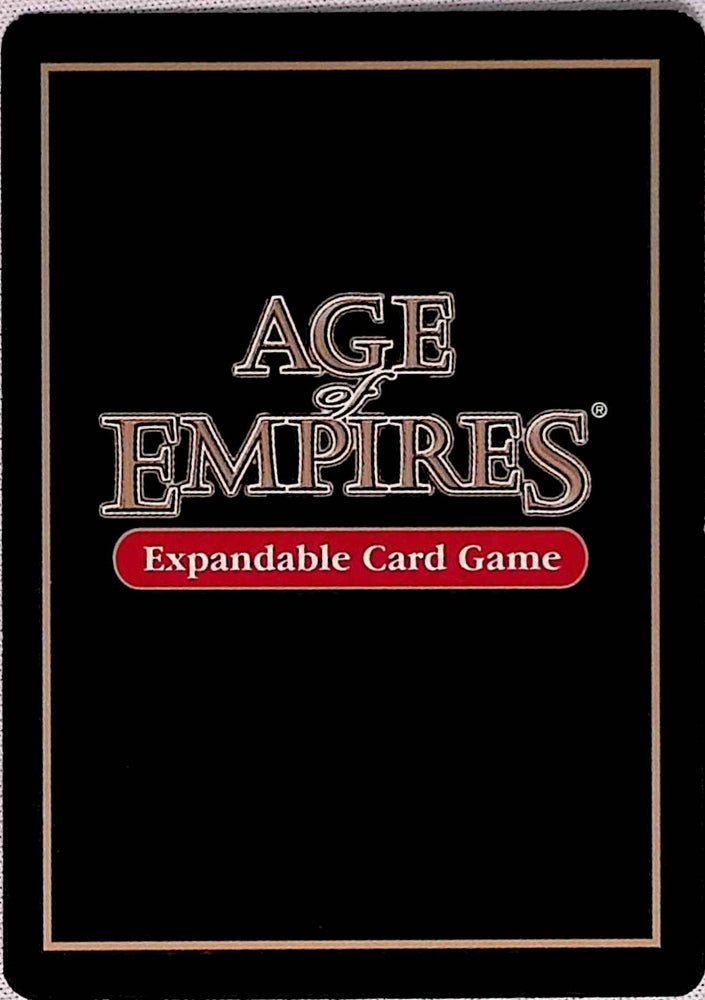 Age of Empires | Chain Mail Armor - Nautical | The Nerd Merchant