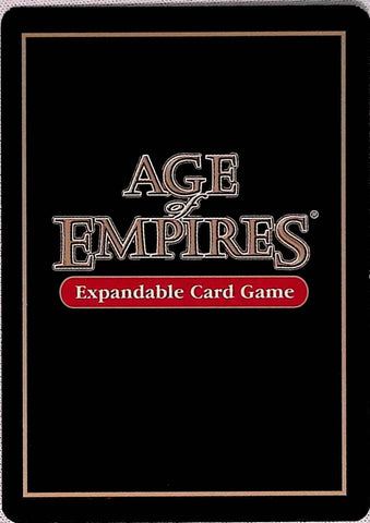 Age of Empires | Chain Mail Armor - Nautical | The Nerd Merchant