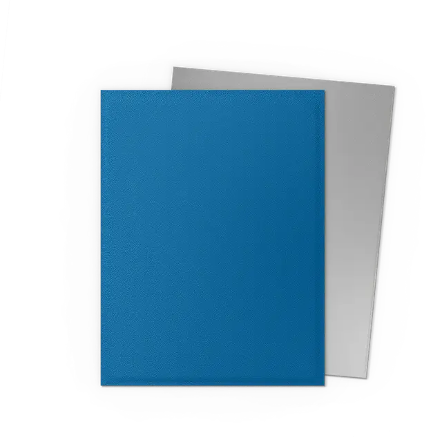Dragon Shield 100-Count Box Dual Matte Cobalt & Silver