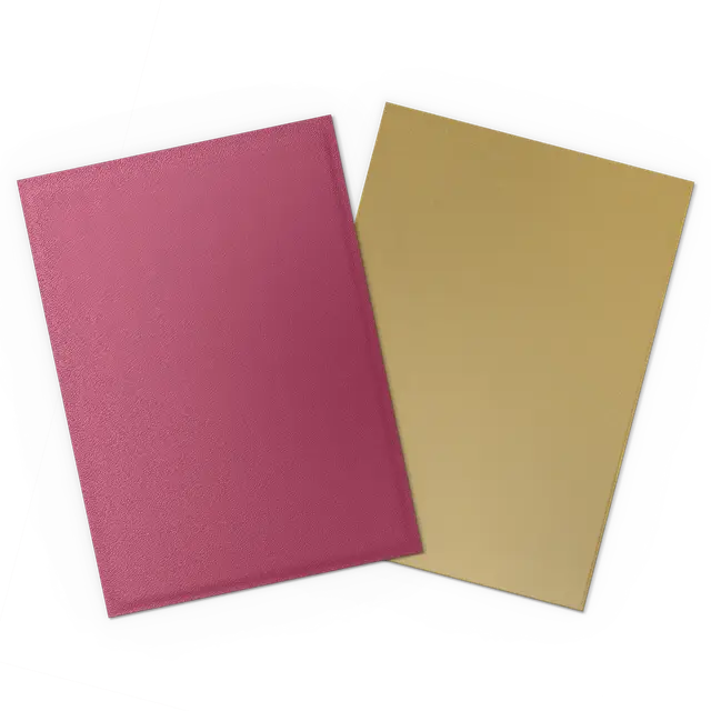 Dragon Shield 100-Count Box Dual Matte Pomegranate & Gold