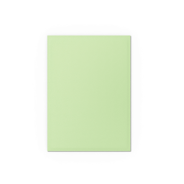 Dragon Shield 100-Count Box Dual Matte Gooseberry