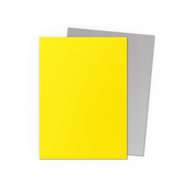 Dragon Shield 100-Count Box Dual Matte Yellow & Silver