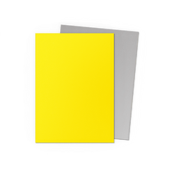 Dragon Shield 100-Count Box Dual Matte Yellow & Silver