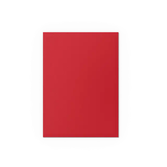 Dragon Shield 100-Count Box Dual Matte Crimson & Silver