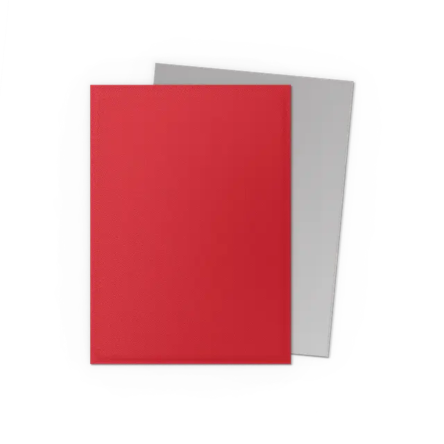 Dragon Shield 100-Count Box Dual Matte Crimson & Silver