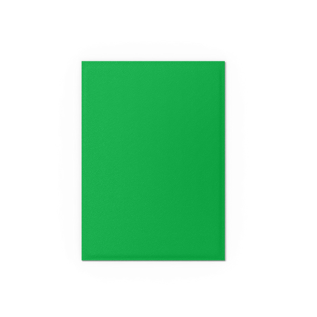 Dragon Shield 100-Count Box Dual Matte Apple Green & Silver