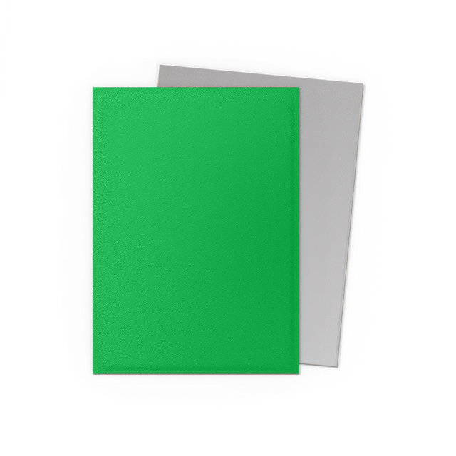 Dragon Shield 100-Count Box Dual Matte Apple Green & Silver