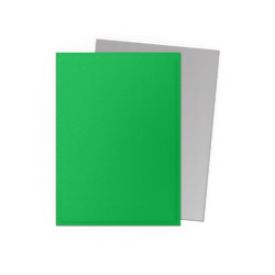 Dragon Shield 100-Count Box Dual Matte Apple Green & Silver