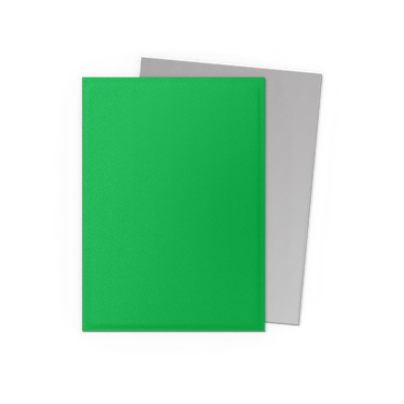 Dragon Shield 100-Count Box Dual Matte Apple Green & Silver
