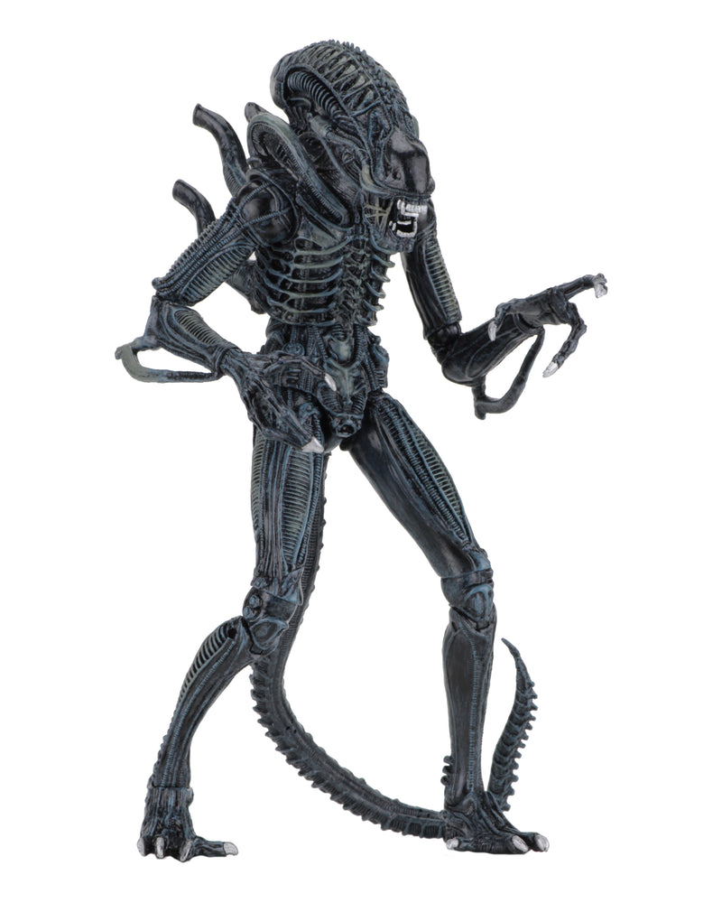 NECA Alien - Ultimate Aliens Warrior (1986) Blue