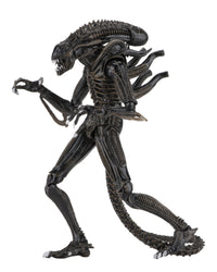 NECA Alien - Ultimate Aliens Warrior (1986) Brown