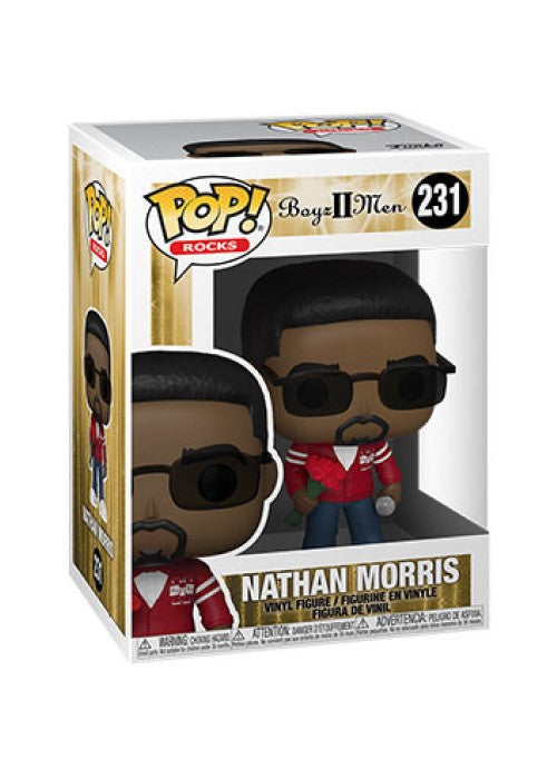 Funko Pop | Nathan Morris - Rocks #231 [EUC] | The Nerd Merchant