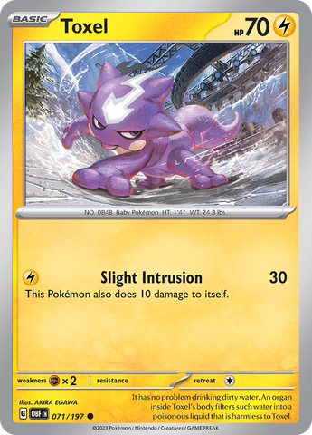 Pokemon | Toxel (071/197) [Scarlet & Violet: Obsidian Flames] | The Nerd Merchant