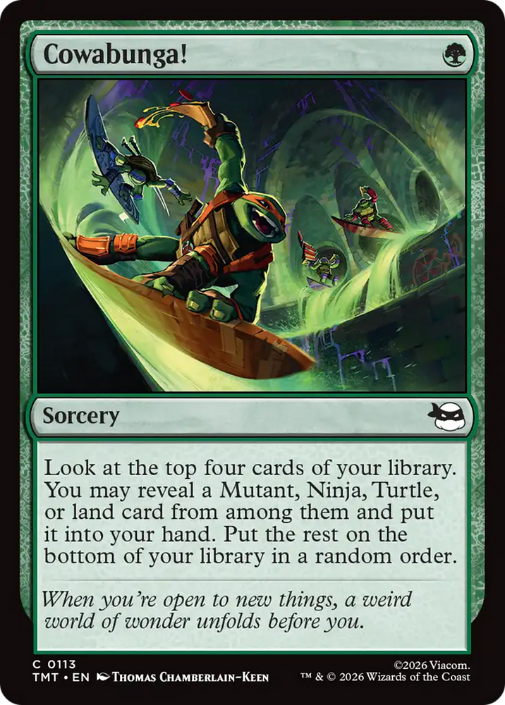 Magic | Cowabunga! [Teenage Mutant Ninja Turtles] | The Nerd Merchant