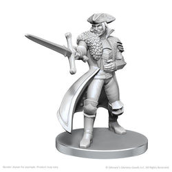 Critical Role Unpainted Miniatures: Jester Lavorre & Fjord Stone