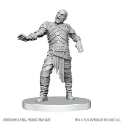 D&D Nolzur's Marvelous Miniatures: Swarm of Rot Grubs & Rot Grub Victim