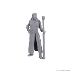 D&D Nolzur's Marvelous Miniatures: Special Edition Baldur's Gate 3 - Gale & Astarion