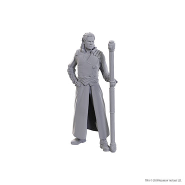 D&D Nolzur's Marvelous Miniatures: Special Edition Baldur's Gate 3 - Gale & Astarion