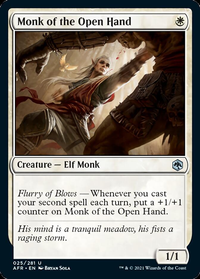 Magic | Monk of the Open Hand [Dungeons & Dragons: Adventures in the Forgotten Realms] | The Nerd Merchant