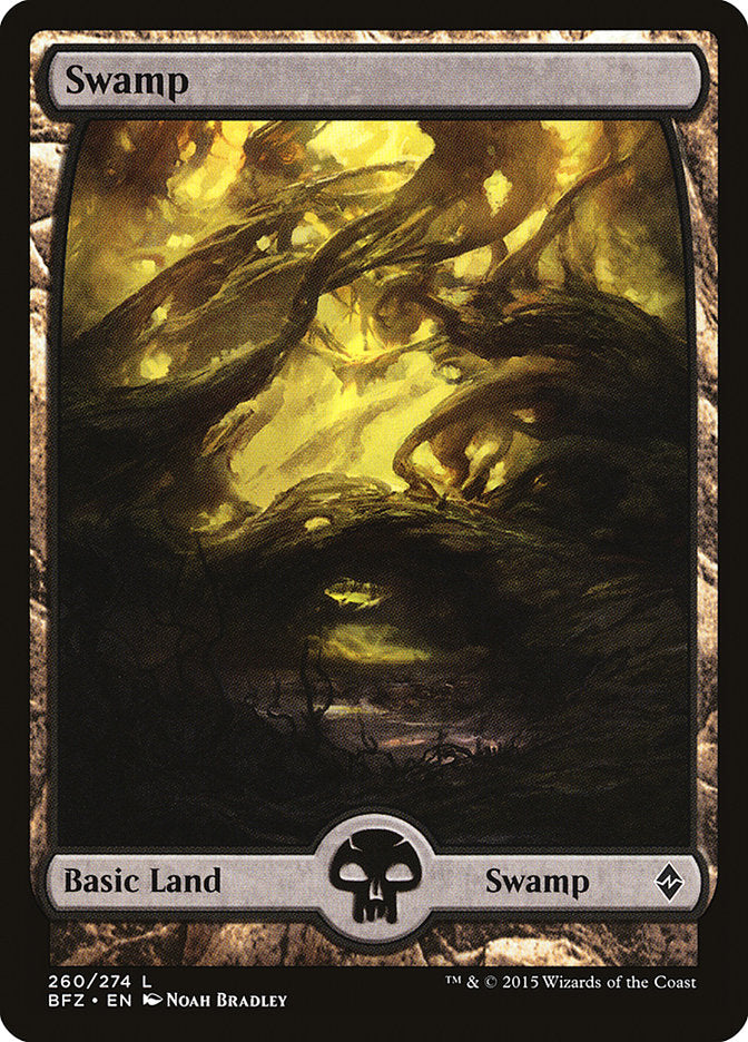 Magic | Swamp (260) (Full Art) [Battle for Zendikar] | The Nerd Merchant