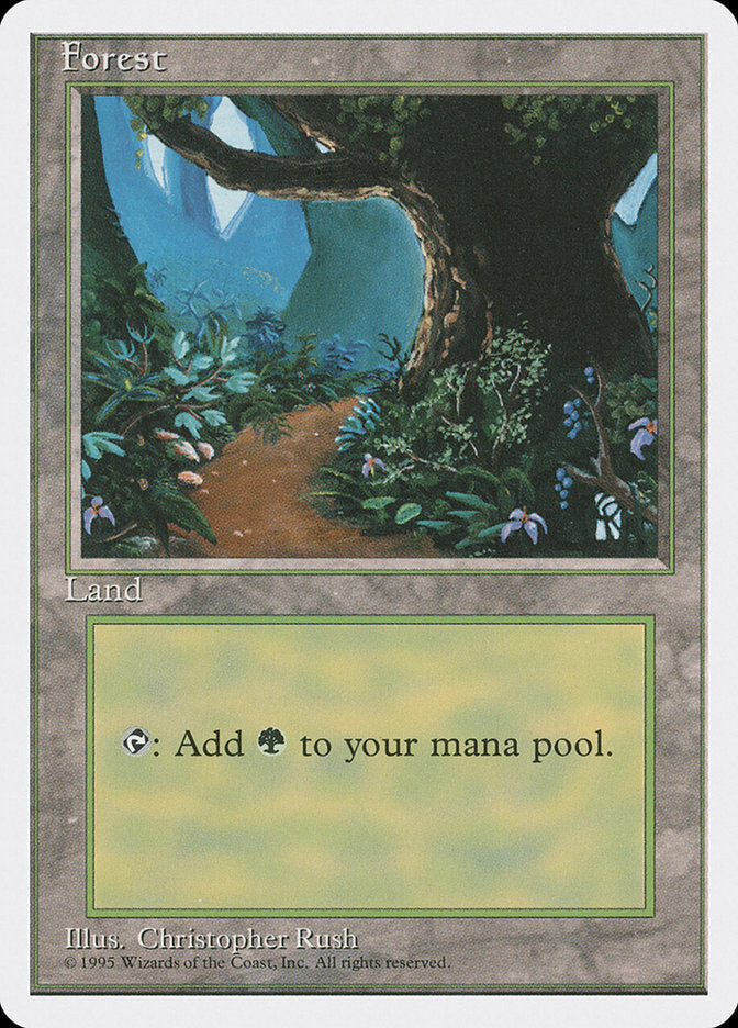Magic | Forest (Flower Path) [Fourth Edition] | The Nerd Merchant