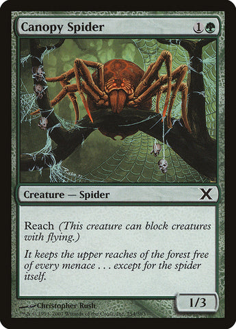 Magic | Canopy Spider [Tenth Edition] | The Nerd Merchant