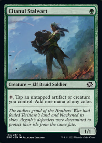 Magic | Citanul Stalwart [The Brothers' War] | The Nerd Merchant