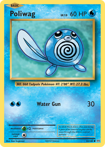 Pokemon | Poliwag (23/108) [XY: Evolutions] | The Nerd Merchant