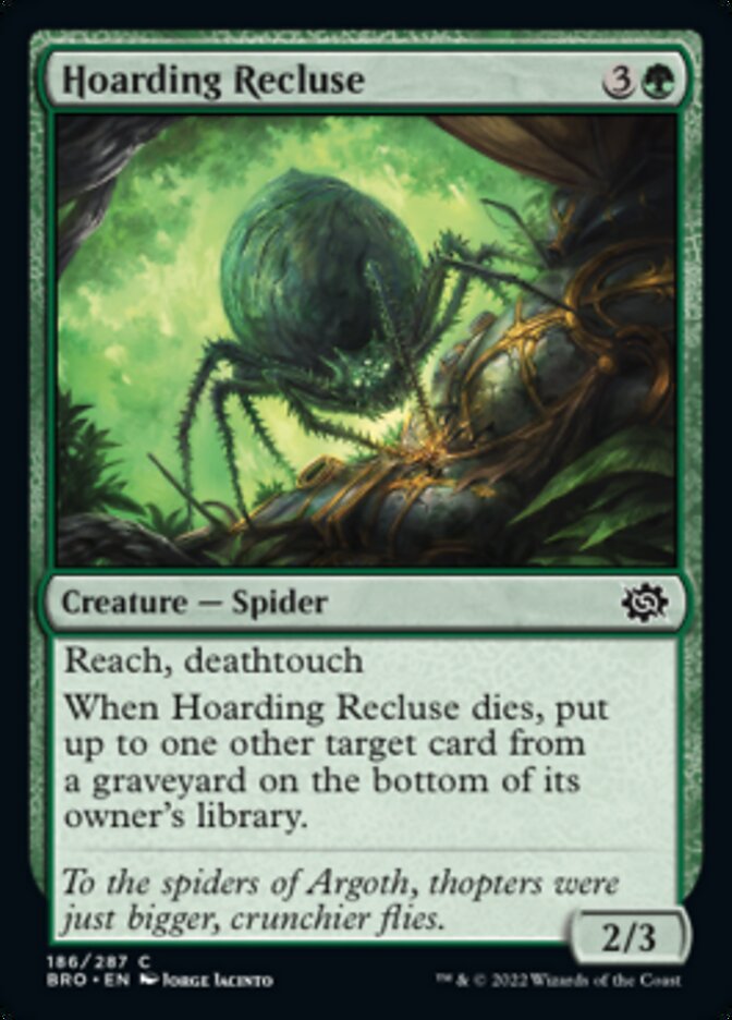 Magic | Hoarding Recluse [The Brothers' War] | The Nerd Merchant
