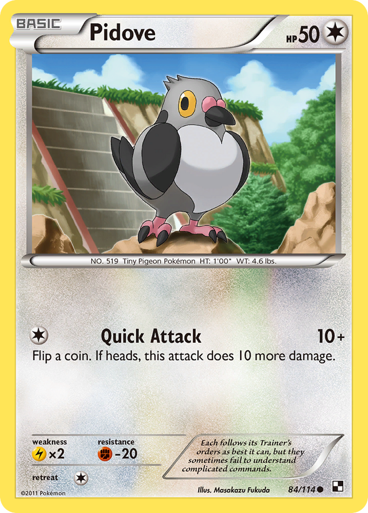 Pokemon | Pidove (84/114) [Black & White: Base Set] | The Nerd Merchant