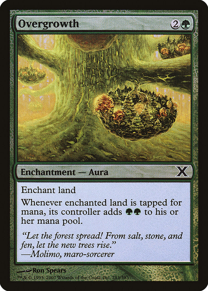 Magic | Overgrowth (Premium Foil) [Tenth Edition] | The Nerd Merchant