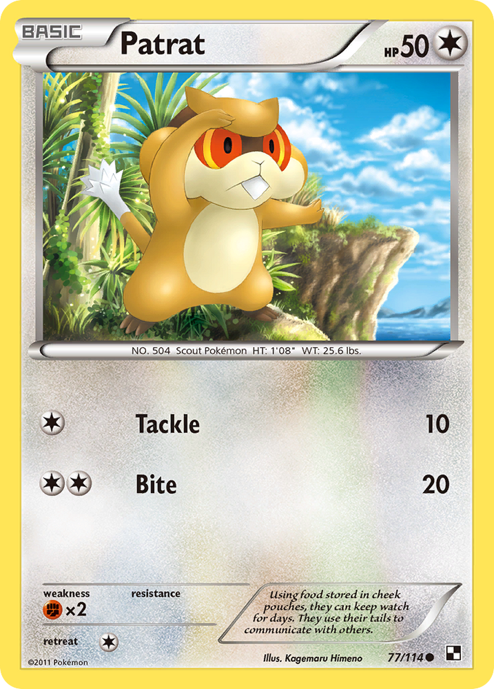 Pokemon | Patrat (77/114) [Black & White: Base Set] | The Nerd Merchant
