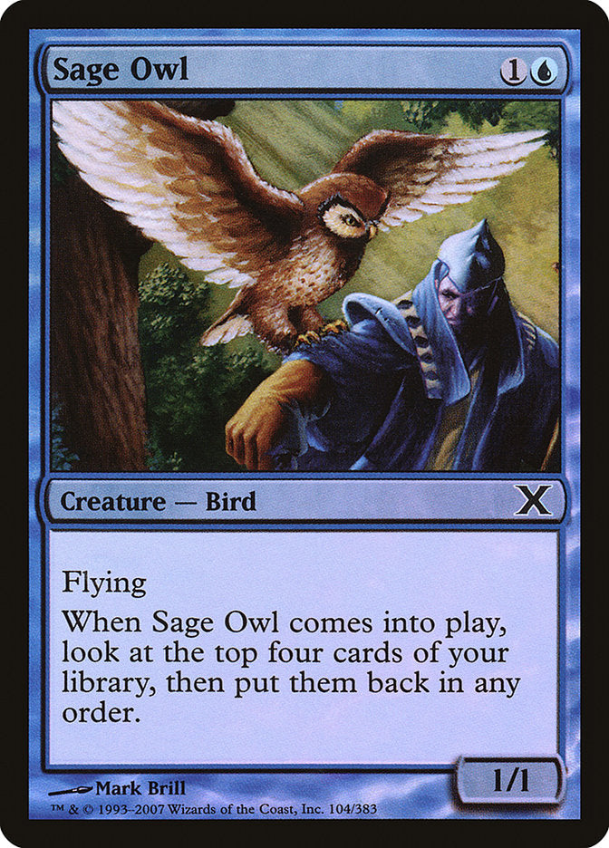 Magic | Sage Owl (Premium Foil) [Tenth Edition] | The Nerd Merchant