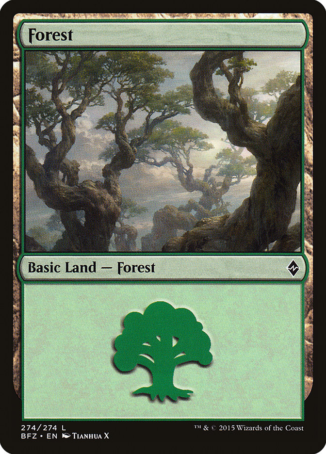 Magic | Forest [Battle for Zendikar] | The Nerd Merchant