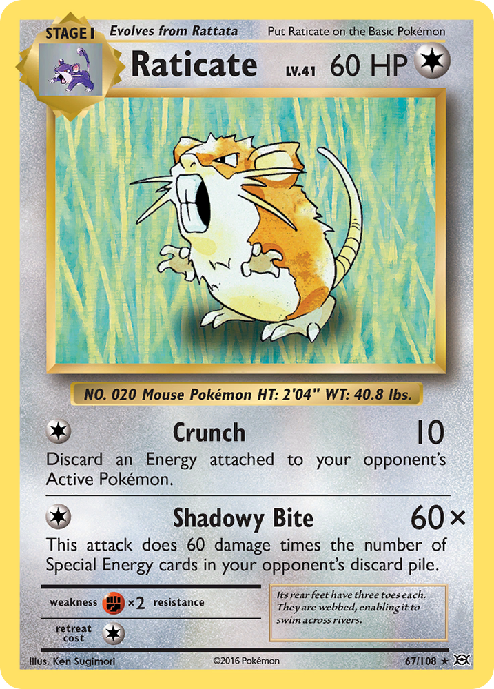 Pokemon | Raticate (67/108) [XY: Evolutions] | The Nerd Merchant