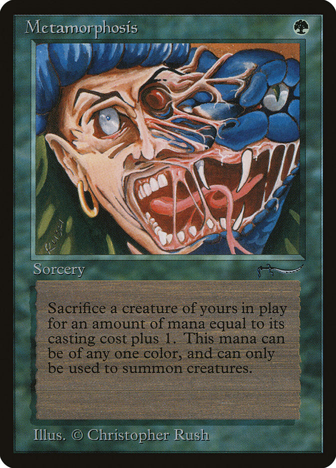 Magic | Metamorphosis [Arabian Nights] | The Nerd Merchant