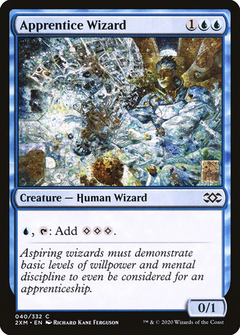 Magic | Apprentice Wizard [Double Masters] | The Nerd Merchant