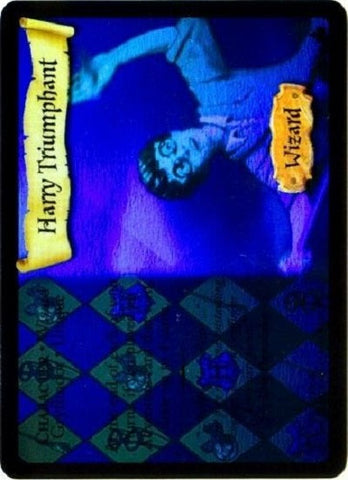 Harry Potter TCG | Harry Triumphant (Holo) - Adventures at Hogwarts #13/80 | The Nerd Merchant