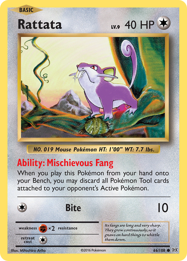 Pokemon | Rattata (66/108) [XY: Evolutions] | The Nerd Merchant